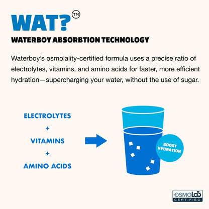 Waterboy Workout Hydration | 2,960mg Sugar Free Electrolyte Powder Packets | L-Glutamine + Vitamins | No Sugar, All Natural, Gluten Free (Variety) - Maple Wellness Supplements