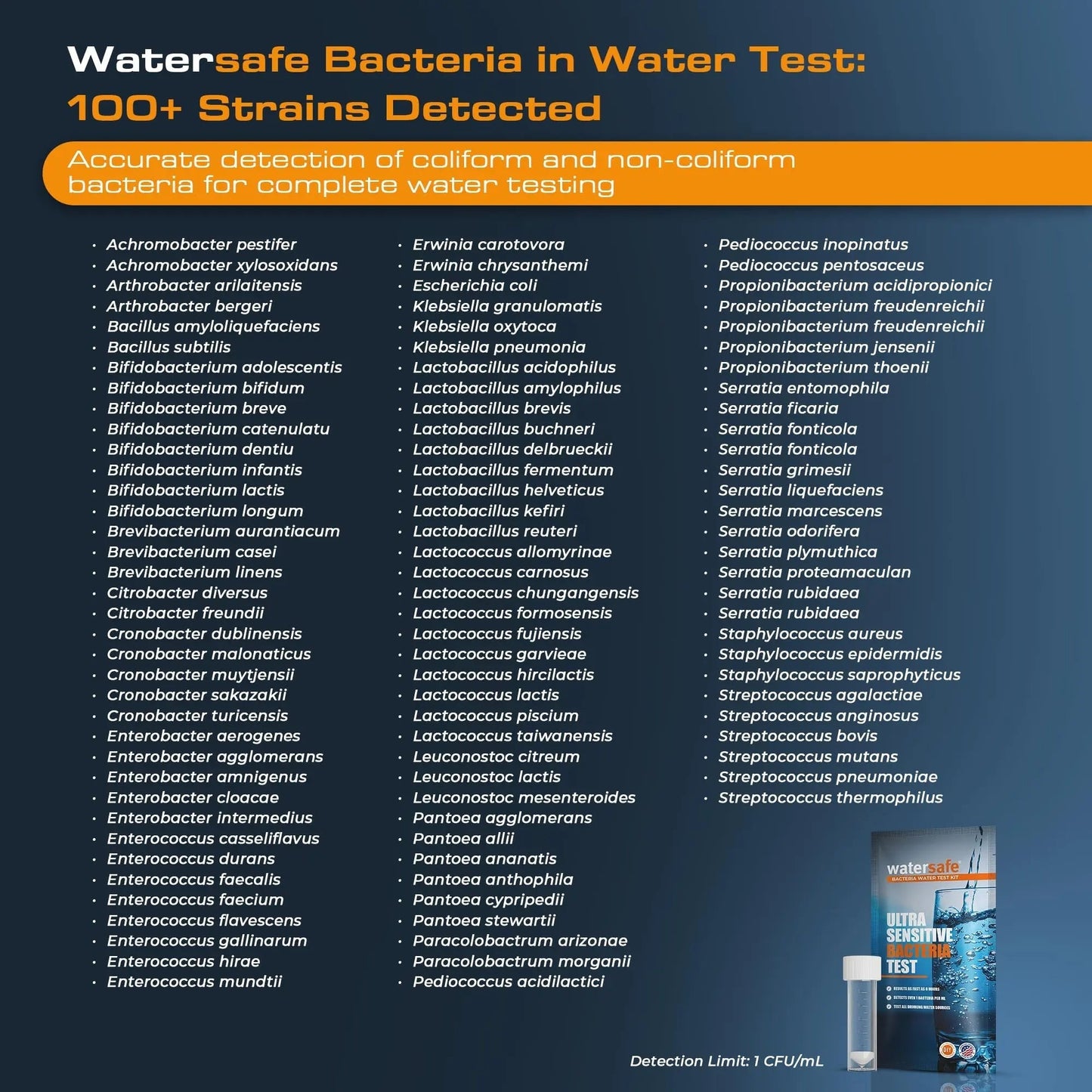 Watersafe® Bacteria Water Test Kit – USA-Made – Results as Fast as 6 Hours – Detects Coliform (Inc. E. coli) & Non-Coliform Bacteria in Drinking, Well & Tap Water – Lab-Quality Testing – 1 Pack - Maple Wellness Supplements
