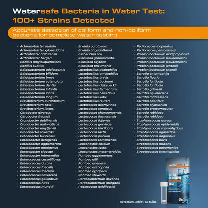 Watersafe® Bacteria Water Test Kit – USA-Made – Results as Fast as 6 Hours – Detects Coliform (Inc. E. coli) & Non-Coliform Bacteria in Drinking, Well & Tap Water – Lab-Quality Testing – 1 Pack - Maple Wellness Supplements