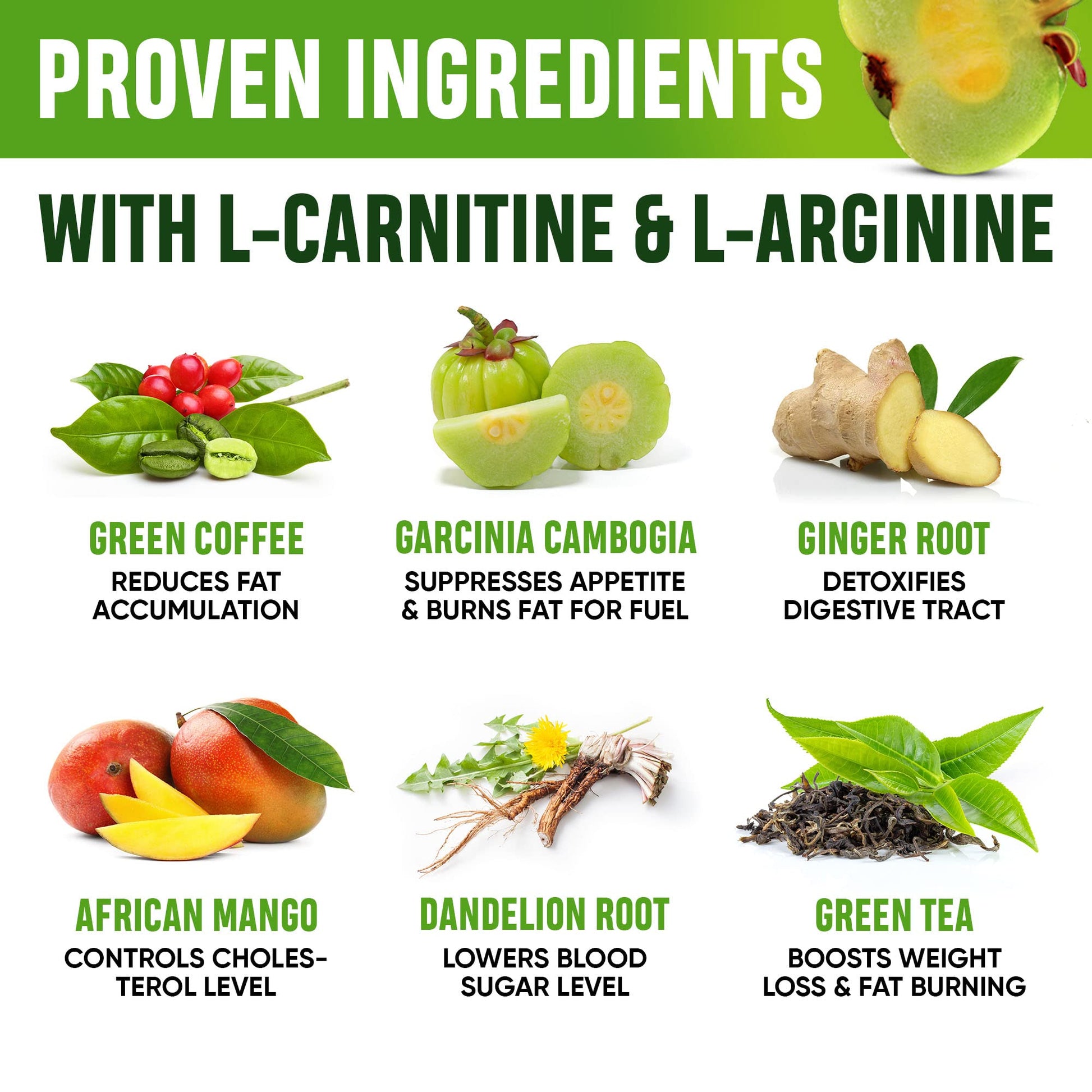 Weight Loss Drops - Appetite Suppressant for Women & Men - Made in the USA - Natural - Maple Wellness Supplements