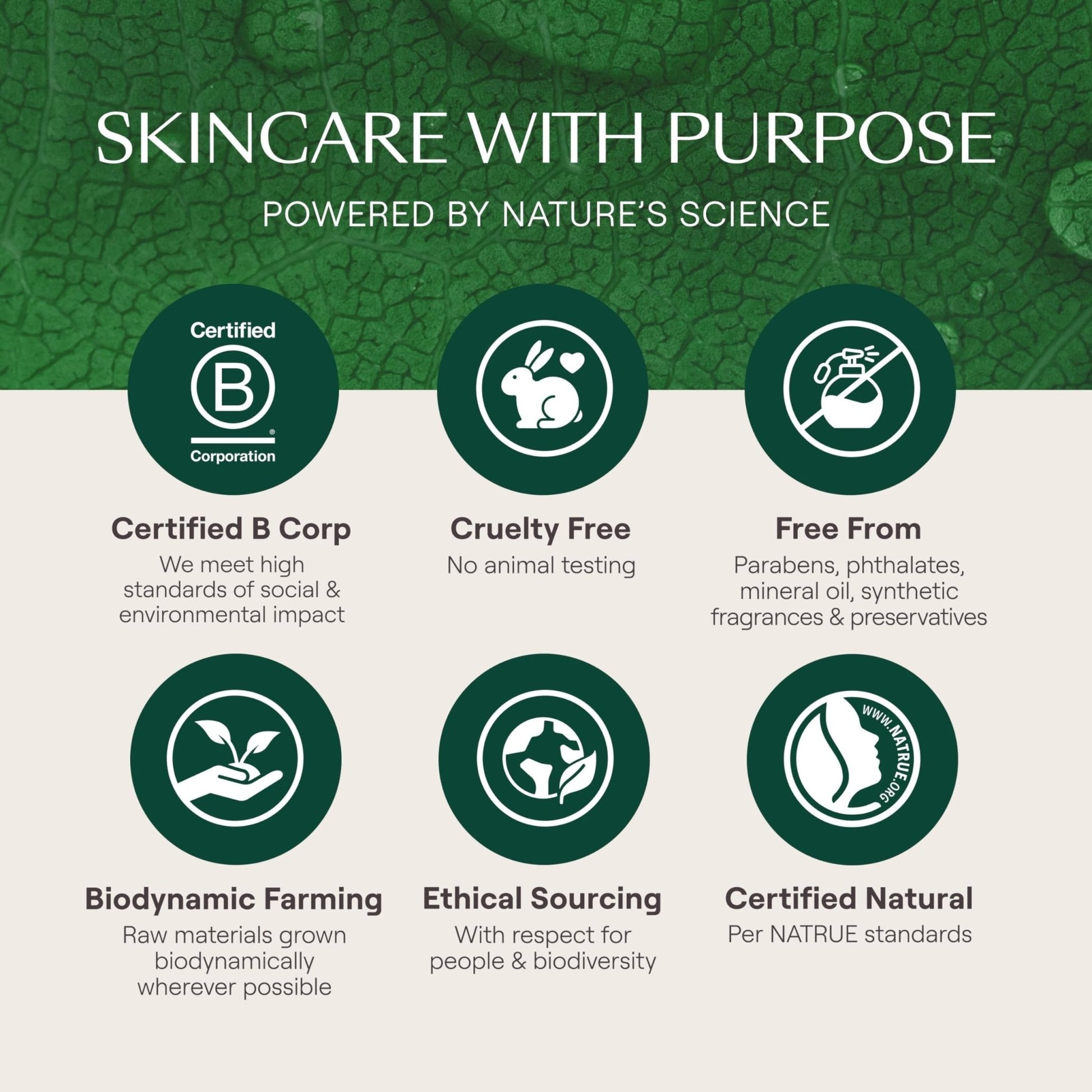 Weleda Skin Food Original Ultra-Rich Body Cream 2.5 Fluid Ounce, Plant Rich Hydrating Moisturizer with Pansy - Maple Wellness Supplements
