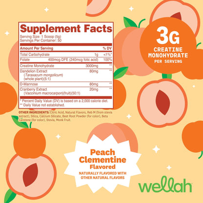 Wellah Creatine for Women - Creatine Monohydrate with Dandelion & Cranberry Extract (50 Servings, Clementine Peach) - Maple Wellness Supplements