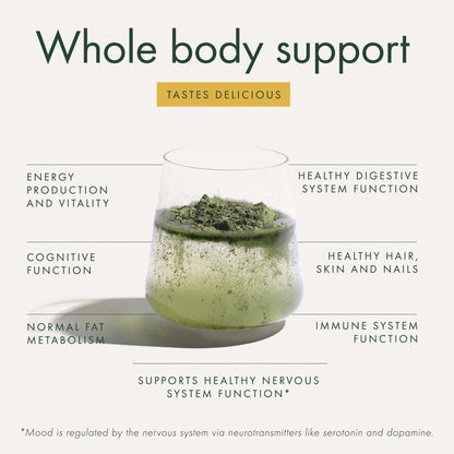 WelleCo The Super Elixir Daily Greens Powder, Probiotic Drink Mix with Whole Foods, Gluten Free, Vegan Gut Health Powder, Energy, Immunity, Healthy Skin, Hair & Nails (300g, Lemon Ginger) - Maple Wellness Supplements