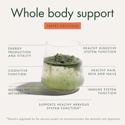 WelleCo The Super Elixir Daily Greens Powder, Probiotic Drink Mix with Whole Foods, Gluten Free, Vegan Gut Health Powder, Energy, Immunity, Healthy Skin, Hair & Nails (Jar, Blood Orange) - Maple Wellness Supplements