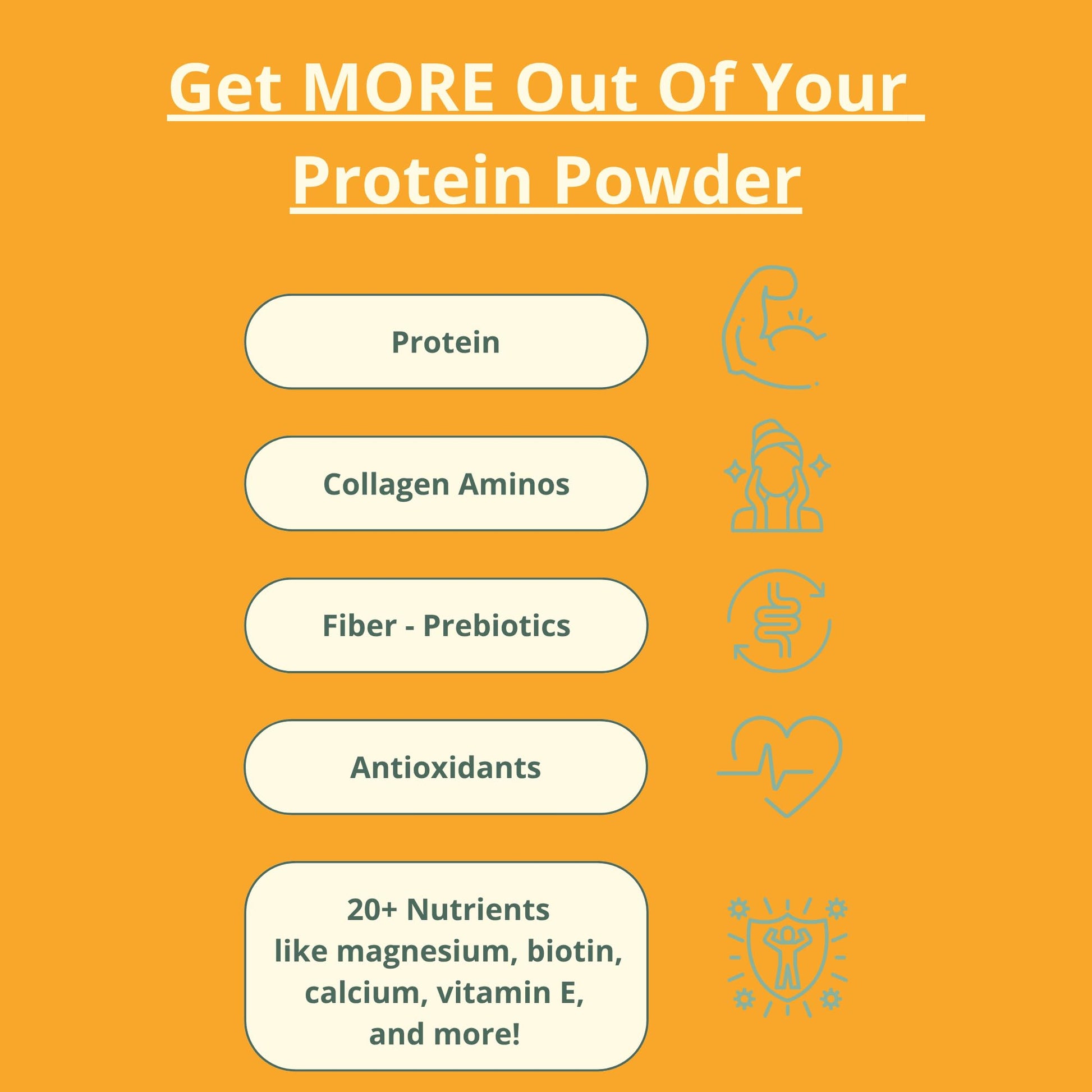 wellious Almond Protein Powder (Unflavored, Unsweetened) - 18 Grams of Pure Healthiest Vegan Protein for Women & Men | Soy-Free & Gut Friendly Protein - Maple Wellness Supplements
