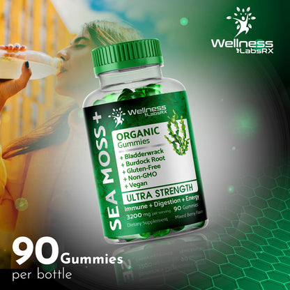 WELLNESS LABSRX Sea Moss Gummies, 3200mg Organic Seamoss, Irish Sea Moss - Maple Wellness Supplements