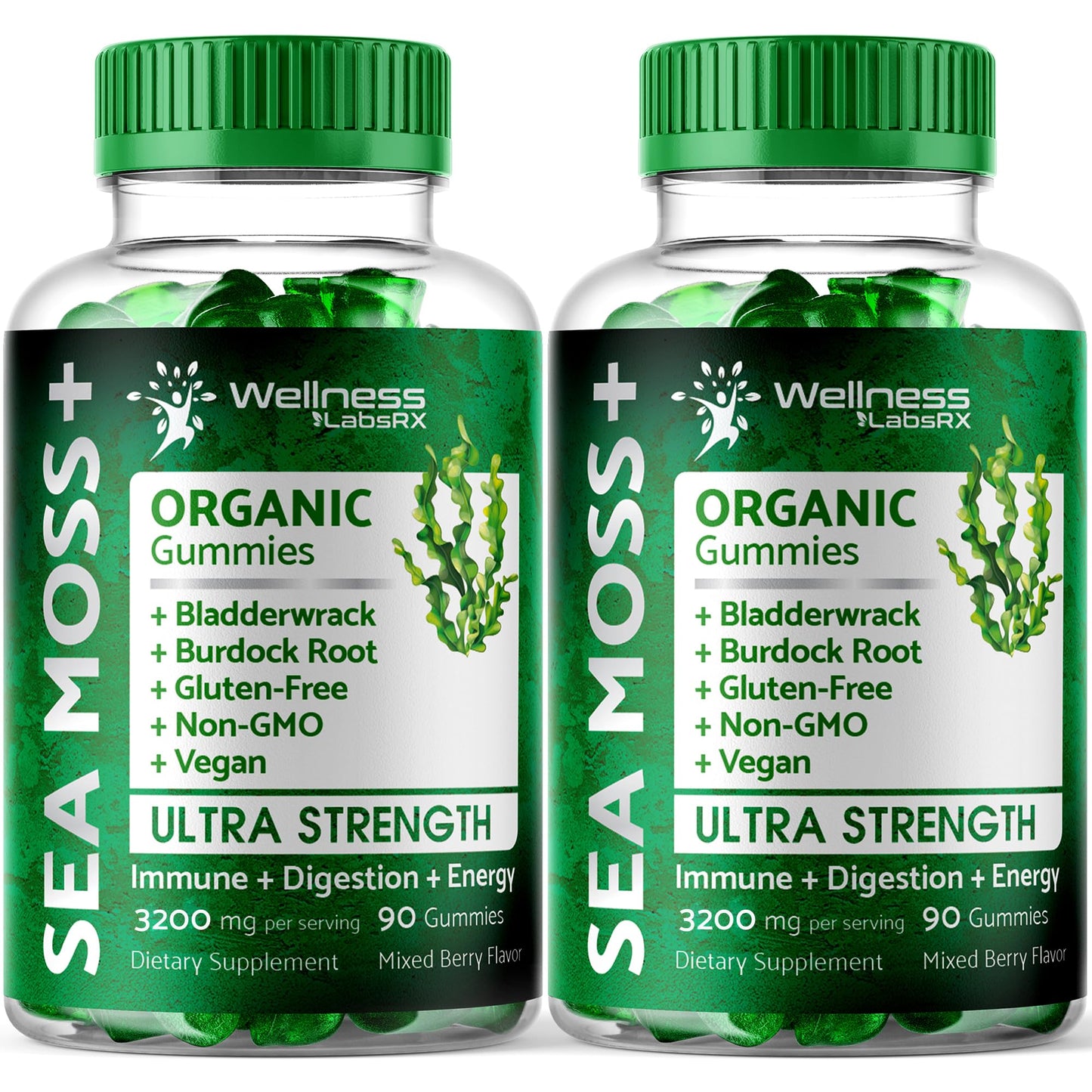 WELLNESS LABSRX Sea Moss Gummies, 3200mg Organic Seamoss, Irish Sea Moss - Maple Wellness Supplements