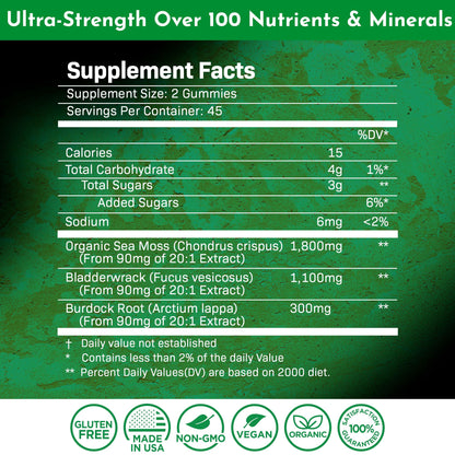 WELLNESS LABSRX Sea Moss Gummies, 3200mg Organic Seamoss, Irish Sea Moss - Maple Wellness Supplements