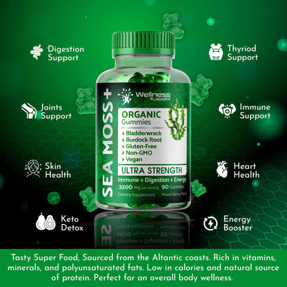 WELLNESS LABSRX Sea Moss Gummies, 3200mg Organic Seamoss, Irish Sea Moss - Maple Wellness Supplements