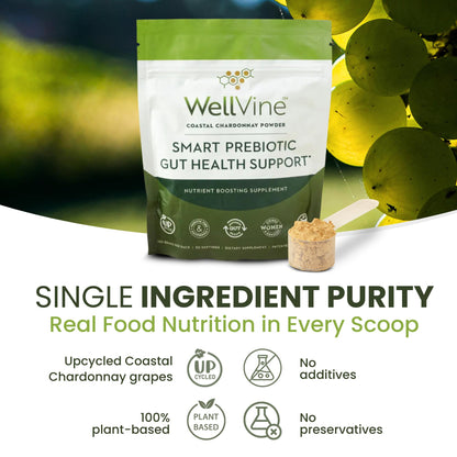 WellVine Premium Smart Prebiotic Gut Health Supplement Powder for Men & Women | Digestive Support & Gut Health With 100% Upcycled Chardonnay Grapes | Plant-Based - Maple Wellness Supplements