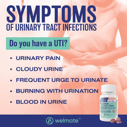 WELMATE Urinary Pain UTI Relief Maximum Strength (Phenazopyridine HCL) - Improve Urinary Tract Health & Bladder Control, Urgency, & Discomfort | Over-The-Counter Medication for Men & Women (72 Pills) - Maple Wellness Supplements