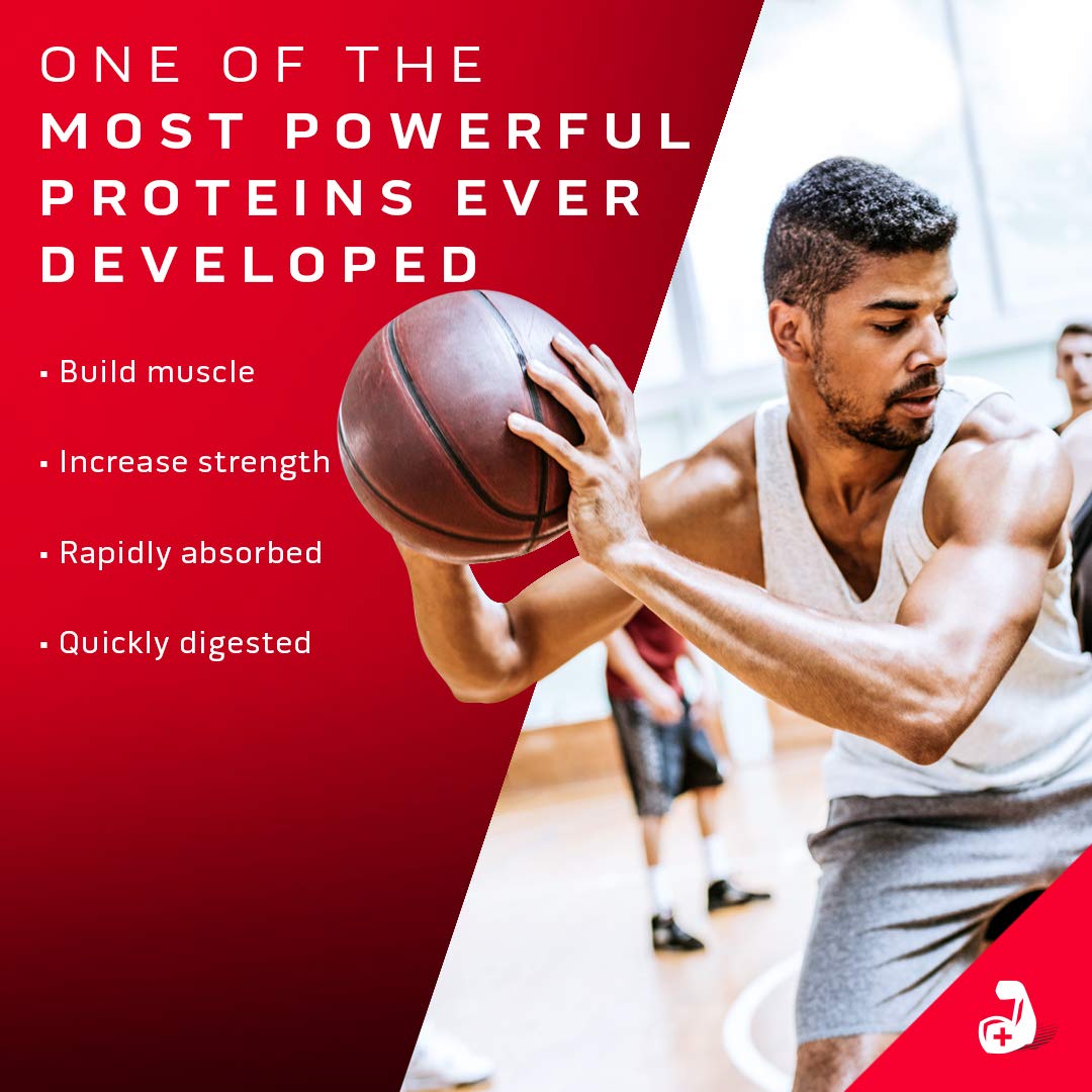 Whey Protein Powder MuscleTech Nitro-Tech Whey Gold Protein Powder Whey Protein - Maple Wellness Supplements