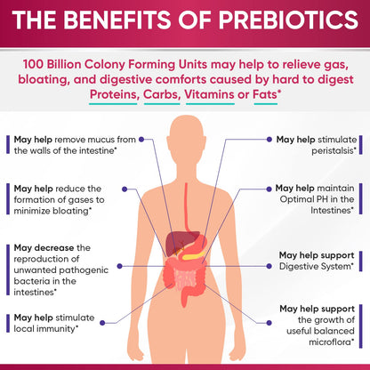 Wholesome Wellness Dr. Formulated Raw Probiotics for Women 100 Billion CFUs Capsules with Prebiotics, Digestive Enzymes, Approved for Adults, Shelf Stable Supplement - Maple Wellness Supplements