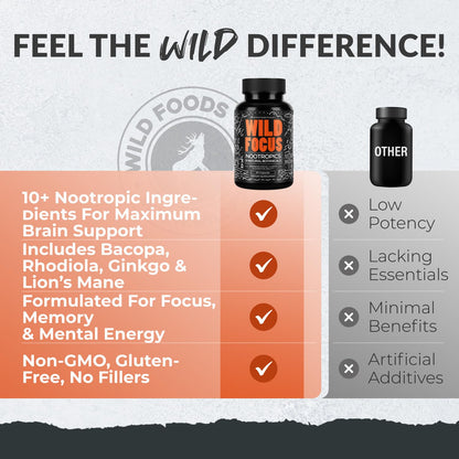 Wild Focus Brain Supplements | Caffeine-Free, Plant-Based Botanicals | Lions Mane, Ginkgo Biloba, Bacopa Monnieri, Lemon Balm | 100% Natural Nootropic | 60 caps - Maple Wellness Supplements