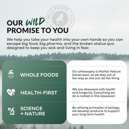 Wild Prebiotics and Probiotics with Digestive Enzymes | 20 Billion CFU - 10 Strains for Women & Men | Support Gut Health & Digestion Supplements | Non-GMO Prebiotic Fiber | 30 Capsules - Maple Wellness Supplements