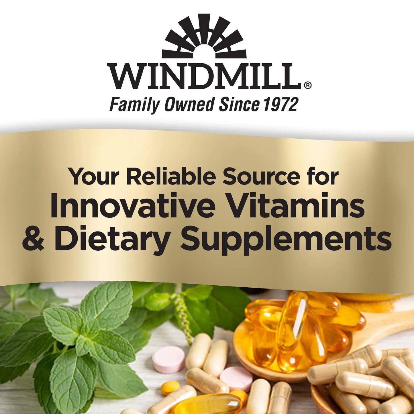 Windmill Natural Vitamins Men’s Multi 50+, with Vitamin D3, Mens Multivitamins for Daily Nutritional Support, Multivitamin for Men, 180 Tablet, 180 Day Supply - Maple Wellness Supplements