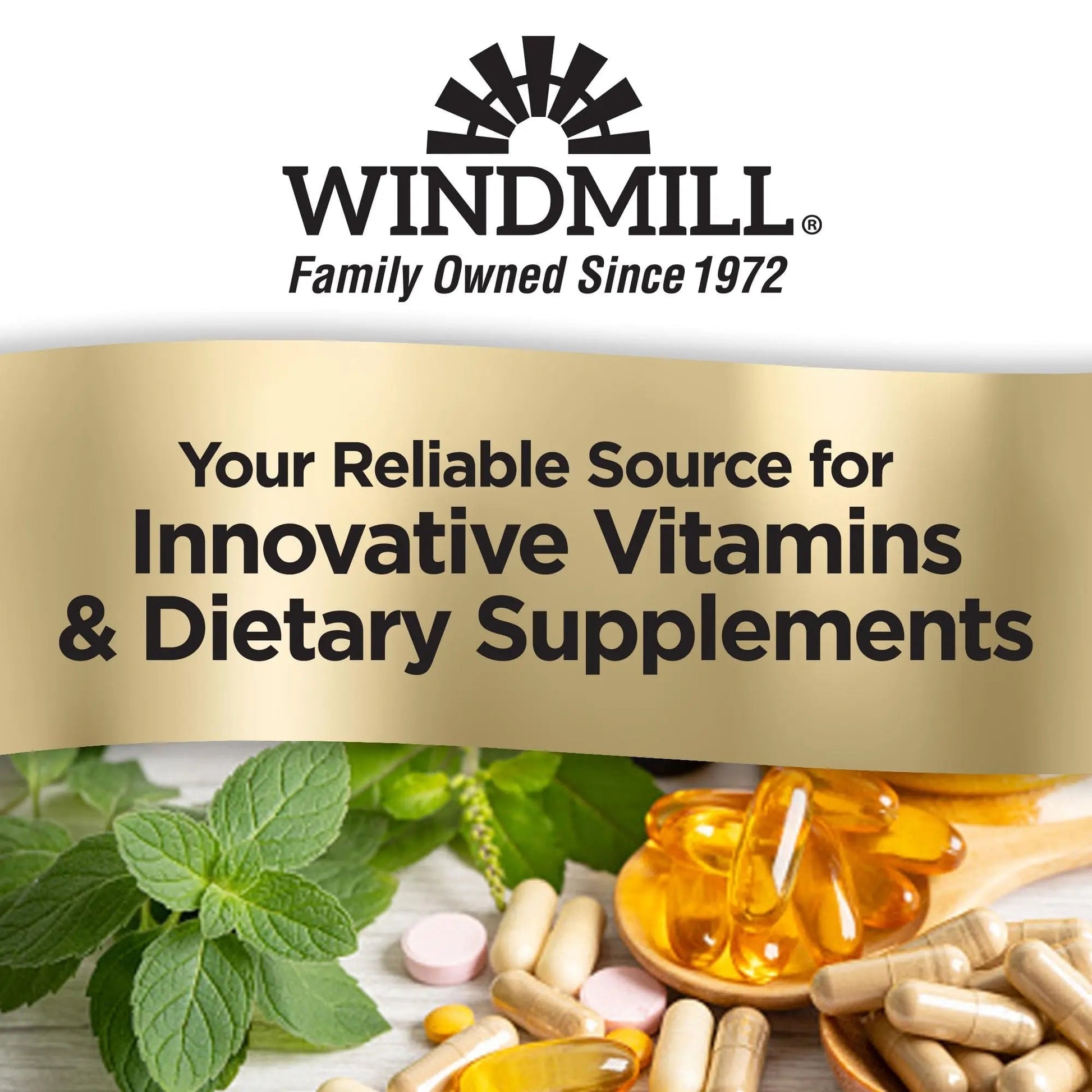 Windmill Natural Vitamins Men’s Multi 50+, with Vitamin D3, Mens Multivitamins for Daily Nutritional Support, Multivitamin for Men, 180 Tablet, 180 Day Supply - Maple Wellness Supplements