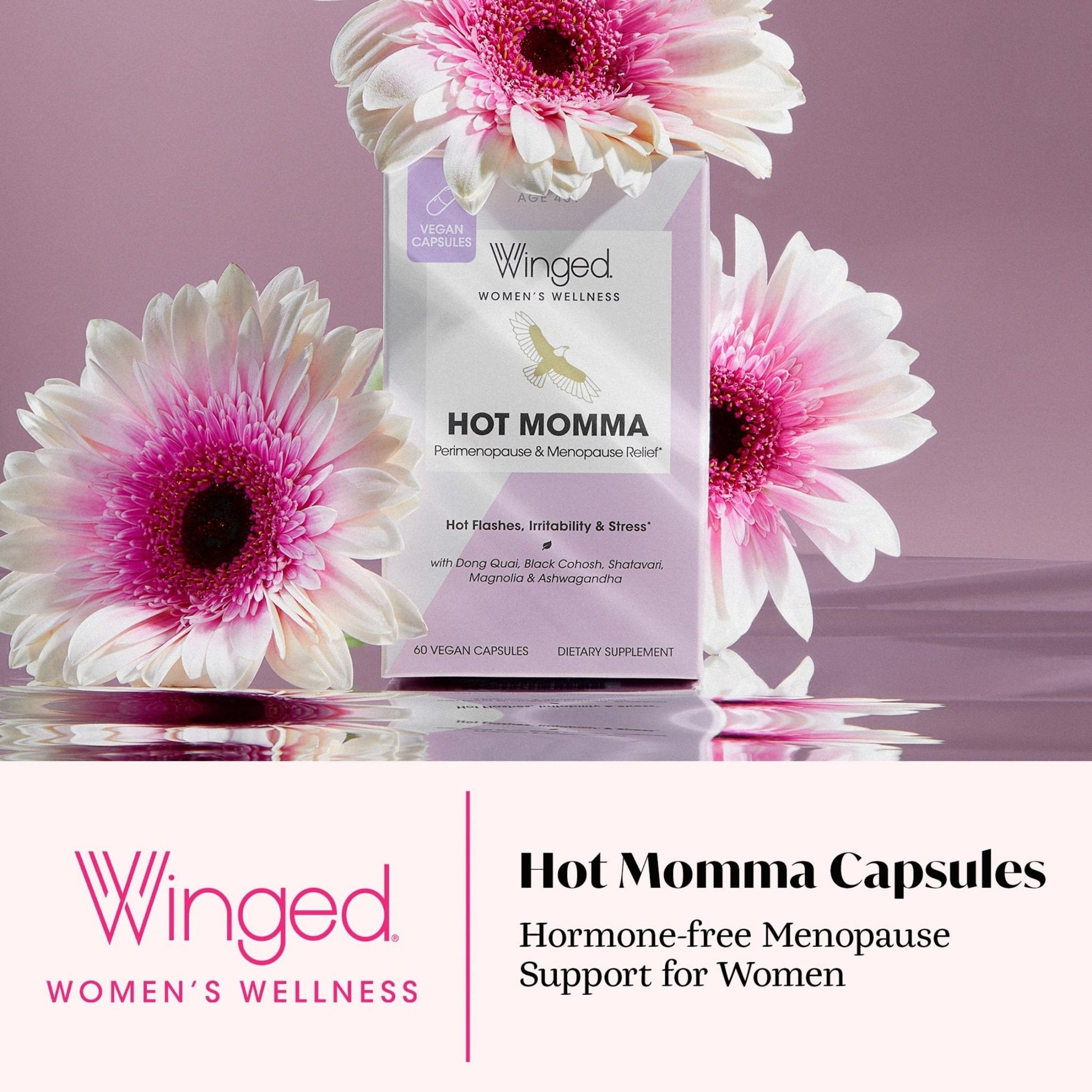 Winged Wellness Hot Momma Menopause Supplements for Women - Hormone-Free Menopause Relief Support for Hot Flashes & Night Sweats with Chaste Tree Berry, Multivitamins & Shatavari - 60 Vegan Capsules - Maple Wellness Supplements