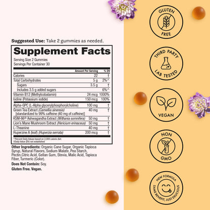Winged Wellness Rise Up, Energy & Focus Gummies for Women - Daily Brain Boost Gummy Supplement with Natural Caffeine, Ashwagandha, B12, Nootropics Alpha-GPC & Lion’s Mane - Pineapple, 60 Gummies - Maple Wellness Supplements