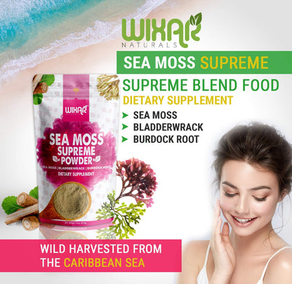 Wixar Wildcrafted Sea Moss Powder – (8 Ounces) – Natural Irish Sea Moss and Bladderwra - Maple Wellness Supplements