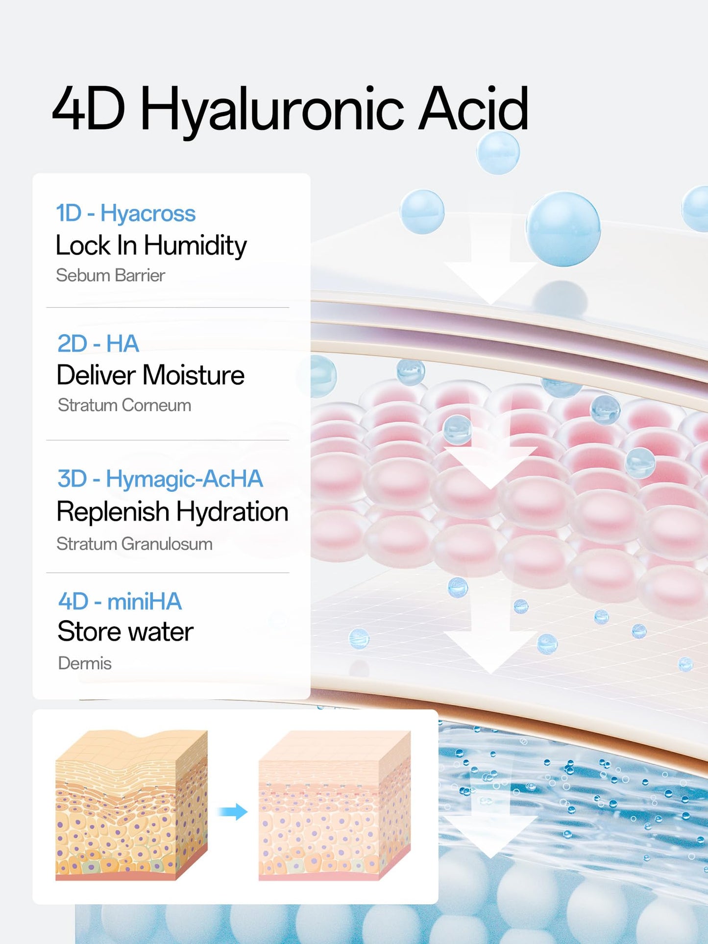WNP Hyaluronic Acid Serum 3% for Face with 4D Multi-Layer Hydration | Ultra Hydrating Anti-Aging Serum | Moisturizer for Dry & Sensitive Skin - Maple Wellness Supplements