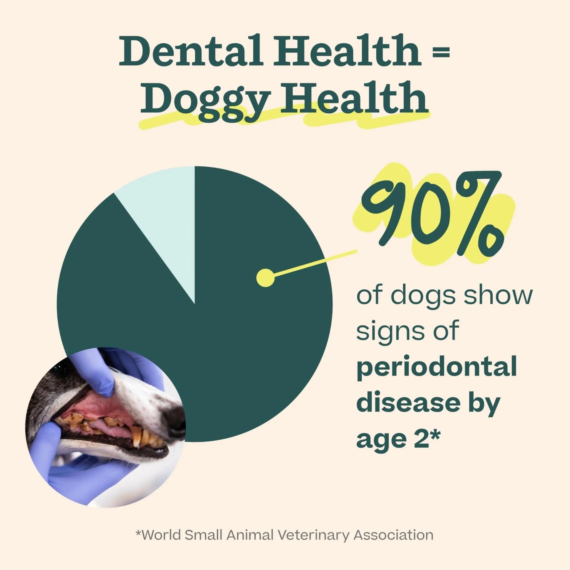 Woof Doggy Dental Pupsicle Mix - Dog Teeth Cleaning Powder for The Pupsicle - Long Lasting Postbiotic Dental Enzyme Mix to Support Oral Health for Dogs - Maple Wellness Supplements