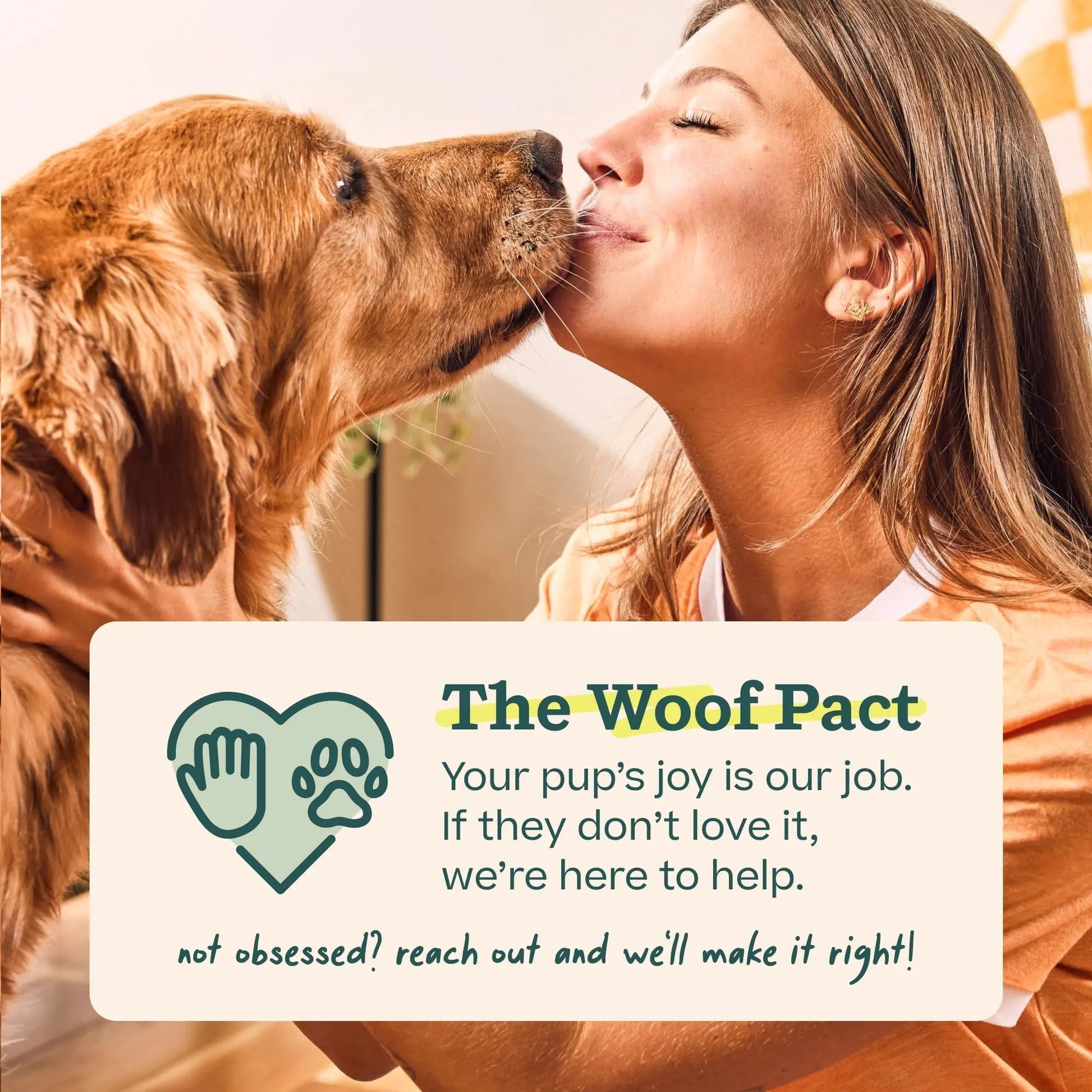 Woof Doggy Dental Pupsicle Mix - Dog Teeth Cleaning Powder for The Pupsicle - Long Lasting Postbiotic Dental Enzyme Mix to Support Oral Health for Dogs - Maple Wellness Supplements