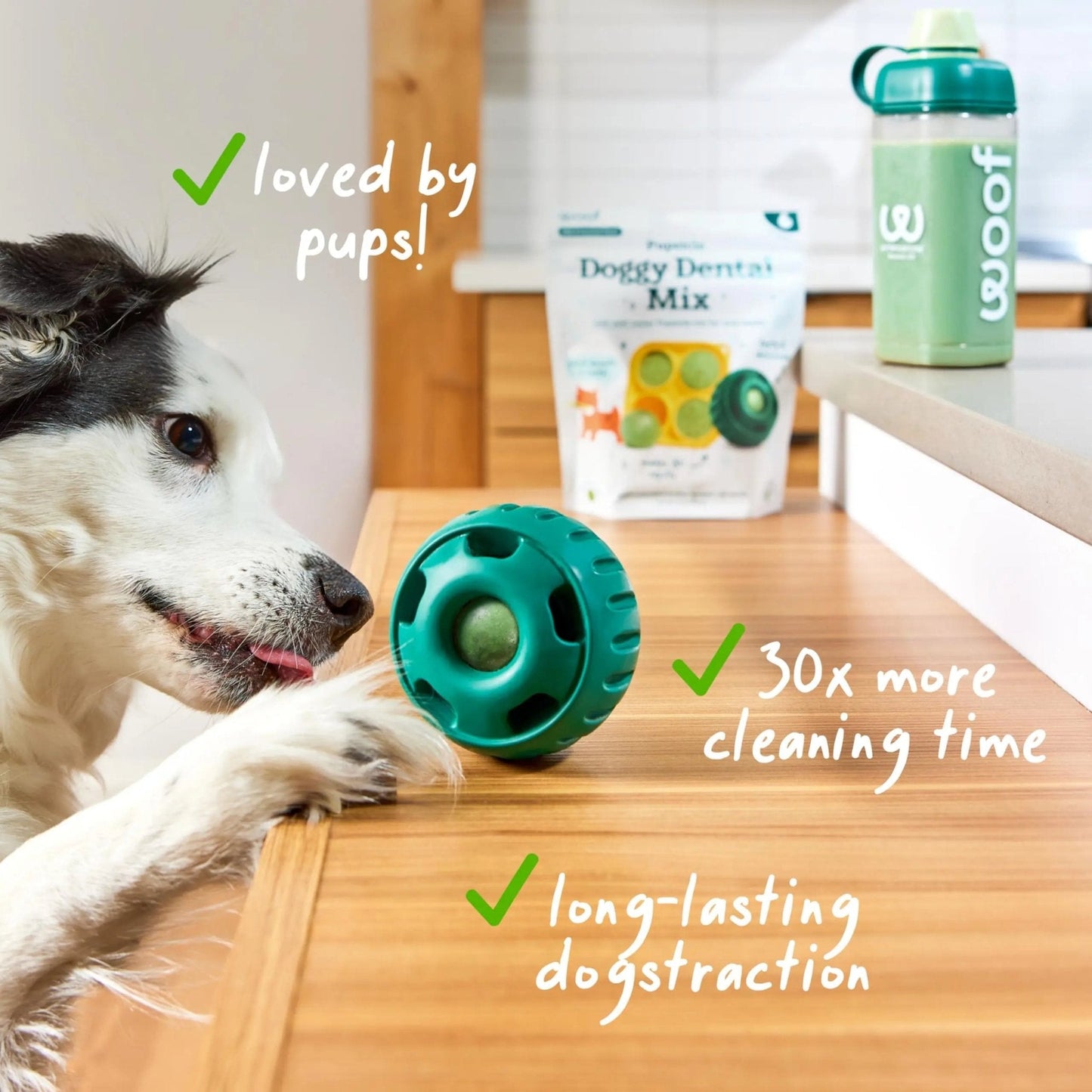 Woof Doggy Dental Pupsicle Mix - Dog Teeth Cleaning Powder for The Pupsicle - Long Lasting Postbiotic Dental Enzyme Mix to Support Oral Health for Dogs - Maple Wellness Supplements