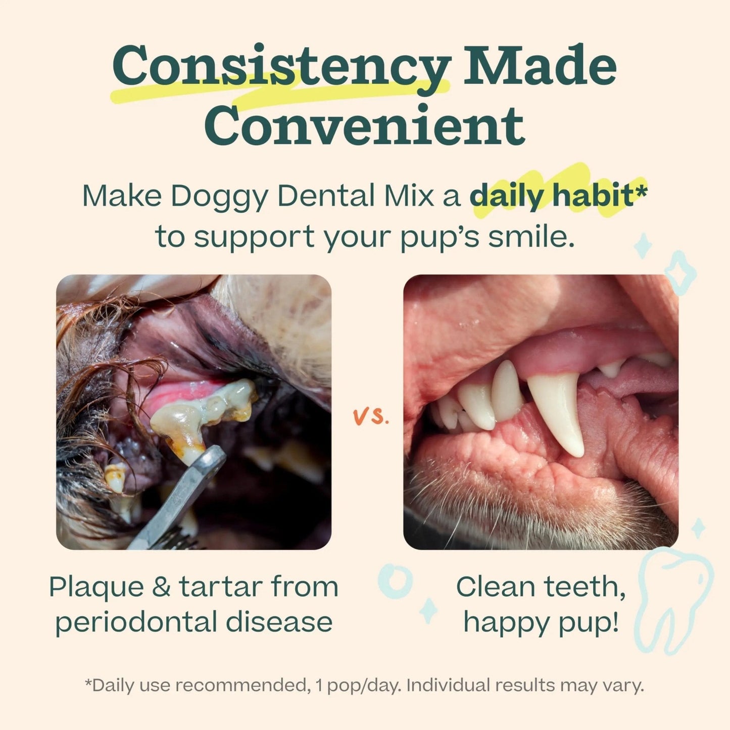 Woof Doggy Dental Pupsicle Mix - Dog Teeth Cleaning Powder for The Pupsicle - Long Lasting Postbiotic Dental Enzyme Mix to Support Oral Health for Dogs - Maple Wellness Supplements