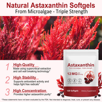 Xaarty Premium Astaxanthin 12mg, Natural Antioxidant Supplement for Eye, Joint, Skin Health,Microalgae Source, 4 Month Supply - Maple Wellness Supplements
