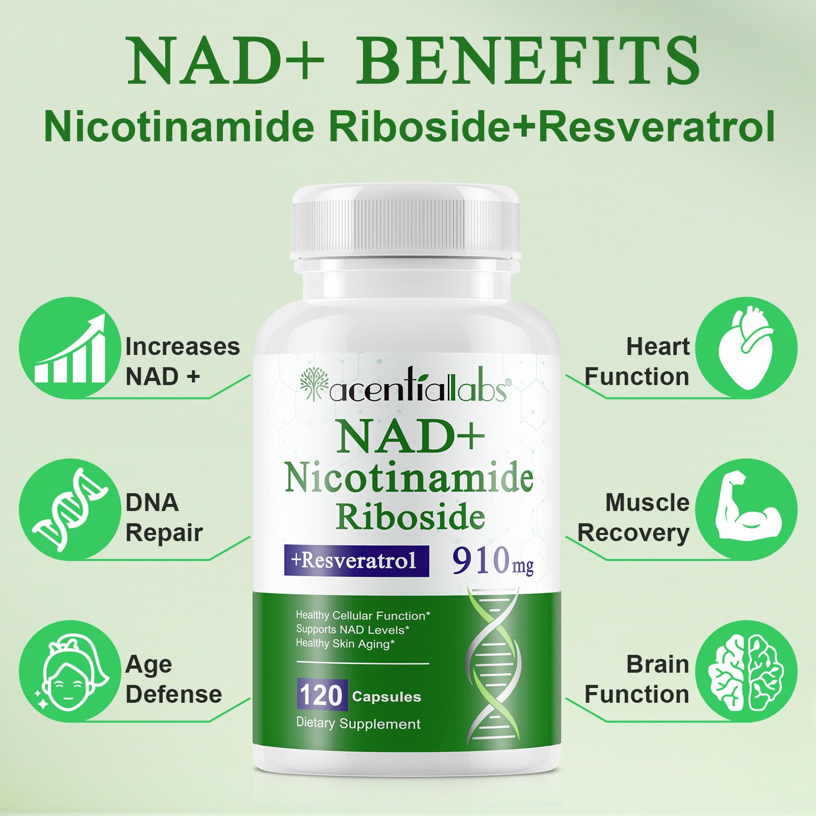 XINSZLIN NAD Supplement, NAD Nicotinamide Riboside Resveratrol 910mg, High Purity NAD Supplement for Healthy Cellular Function, Supports NAD Levels Healthy Skin Aging Dietary Supplement 120 Capsules - Maple Wellness Supplements
