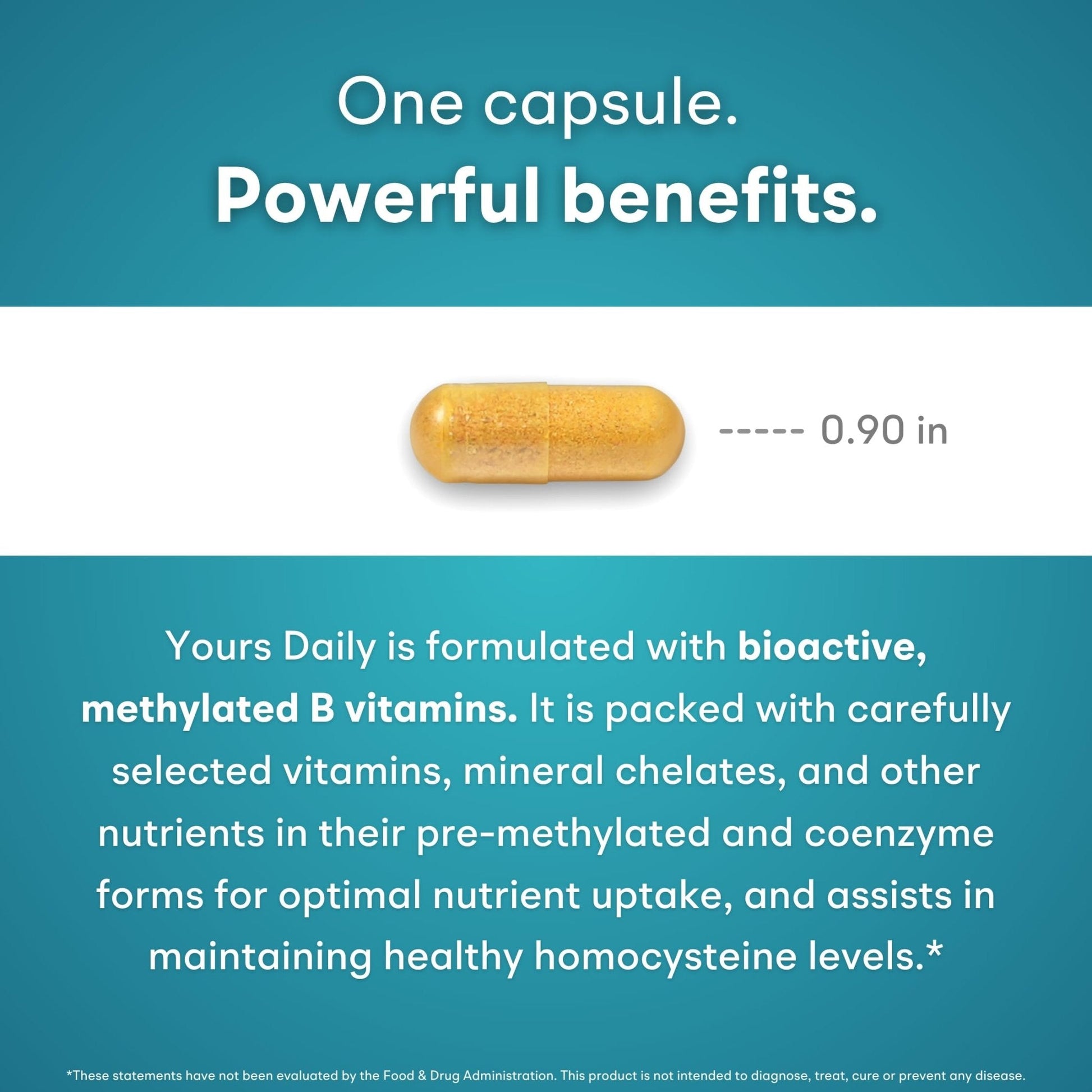 You Vites - Methylated Multivitamin for Men and Women, Methyl Multi Without Iron - 60 Capsules, MTHFR Supplement with Methyl B12, Methylfolate (5-MTHF), CoQ10 for Energy, Heart and Mood Support - Maple Wellness Supplements