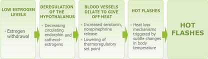 YouFit Nutrition Menopause Relief Capsules for Women - Natural Menopause Supplements for Women - Complete Day and Night Menopause Support - Reduces Hot Flashes, Stress, Night Sweats - 30 Servings - Maple Wellness Supplements