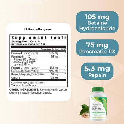 Youngevity Ultimate Enzymes® - Multi Enzymes for Digestion, Gas & Bloating Relief - Betaine HCl, Ox Bile, Pancreatine 10X, Papain 6M, Pepsin 1:3000 (120 Capsules) - Maple Wellness Supplements