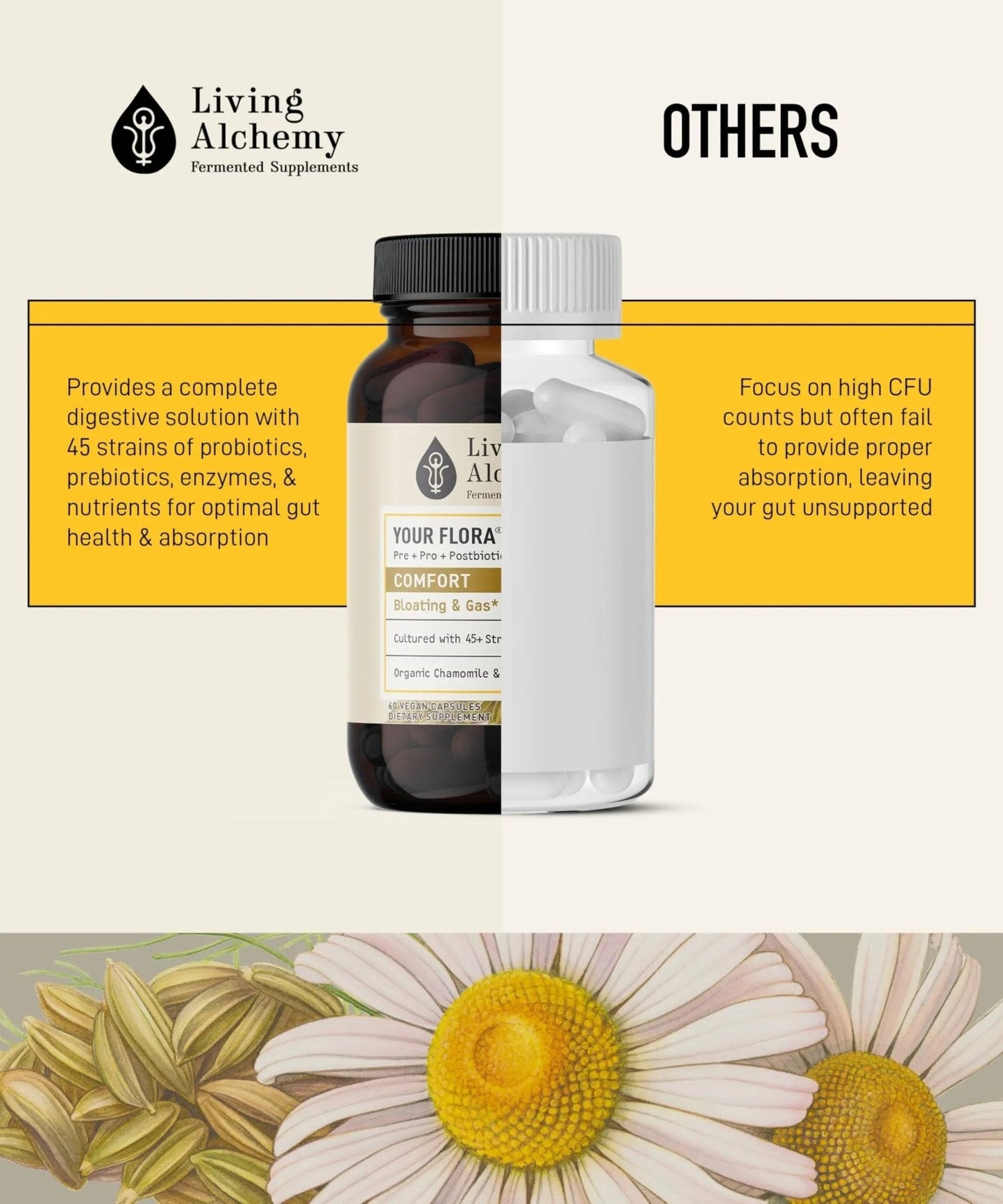 Your Flora Probiotic Comfort – Non-GMO Probiotics with Fermented Soybean, Chamomile, Fennel, Prebiotics, Digestive Enzymes for Digestion & Bloating – Prebiotics, Postbiotics – Living Alchemy, 60 Pcs - Maple Wellness Supplements