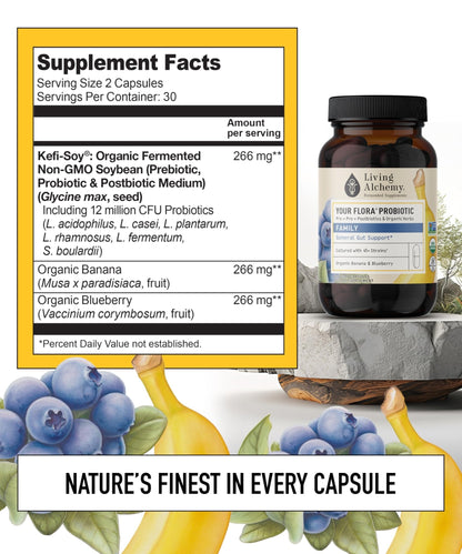 Your Flora Probiotic Family – Non-GMO Probiotics with Fermented Soybean, Banana, & Blueberry for Digestion & Gut Support – Prebiotics, Postbiotics, Digestive Enzymes – Living Alchemy, 60 Capsules - Maple Wellness Supplements