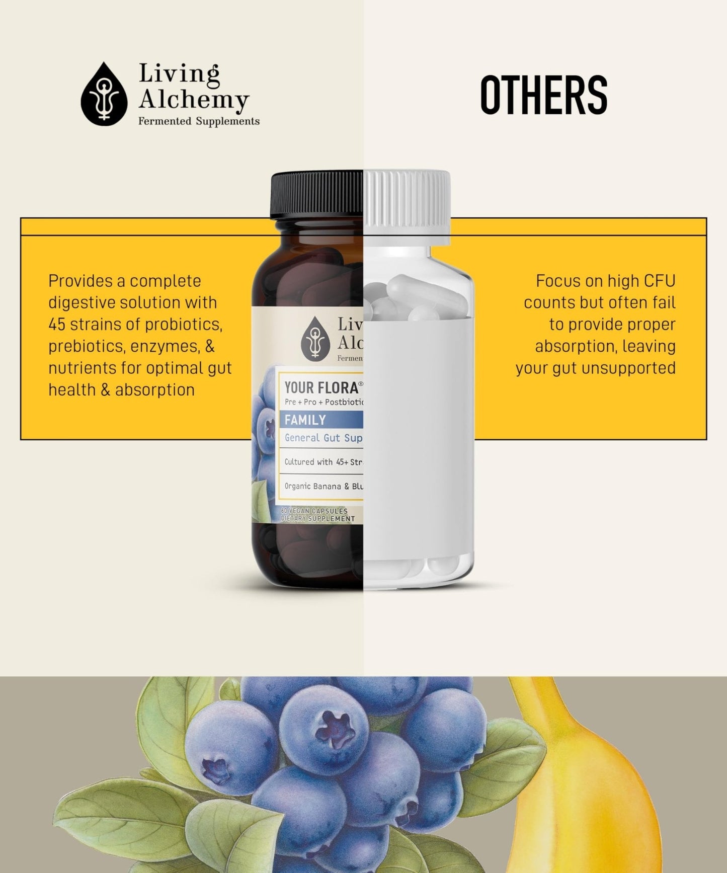 Your Flora Probiotic Family – Non-GMO Probiotics with Fermented Soybean, Banana, & Blueberry for Digestion & Gut Support – Prebiotics, Postbiotics, Digestive Enzymes – Living Alchemy, 60 Capsules - Maple Wellness Supplements