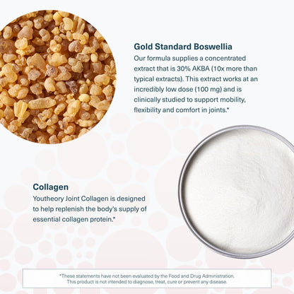 Youtheory Joint Collagen - Vegetarian Collagen Supplement with NEM Eggshell Membrane & Boswellia Extract - Dairy, Soy & Gluten Free - 60 Vegetarian Capsules - Maple Wellness Supplements