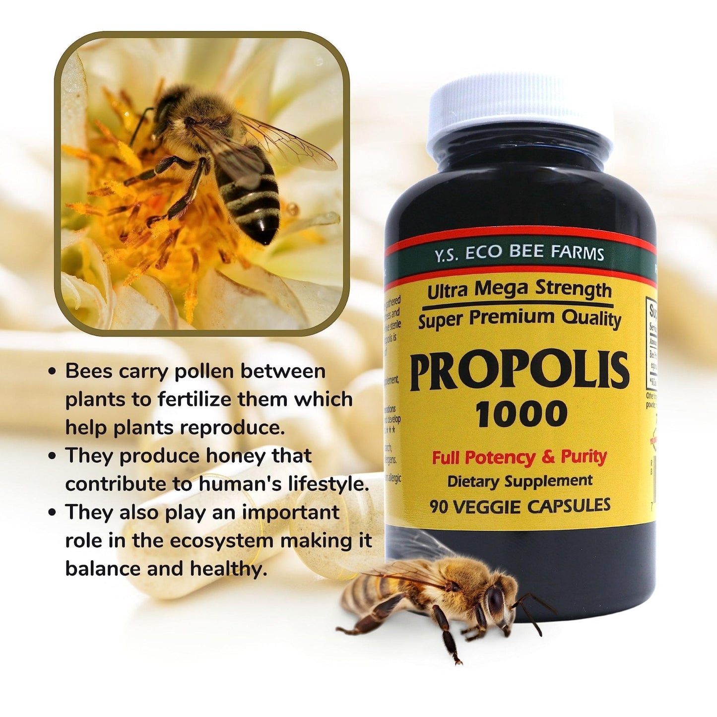 Y.S. Organic Bee Farms Propolis-Raw Unprocessed 1000mg - Your Gateway to Wellness - 90 Capsules with Bonus worldwidenutrition Multi Purpose Key Chain - Maple Wellness Supplements
