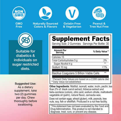 YUM-V'S Sugar Free Probiotic Gummies - Probiotics for Men & Women to Help Support Digestive Function – Adults & Kids Probiotic with 5 Billion CFU Bacillus Coagulans – Vegan & Gluten-Free (60 Count) - Maple Wellness Supplements