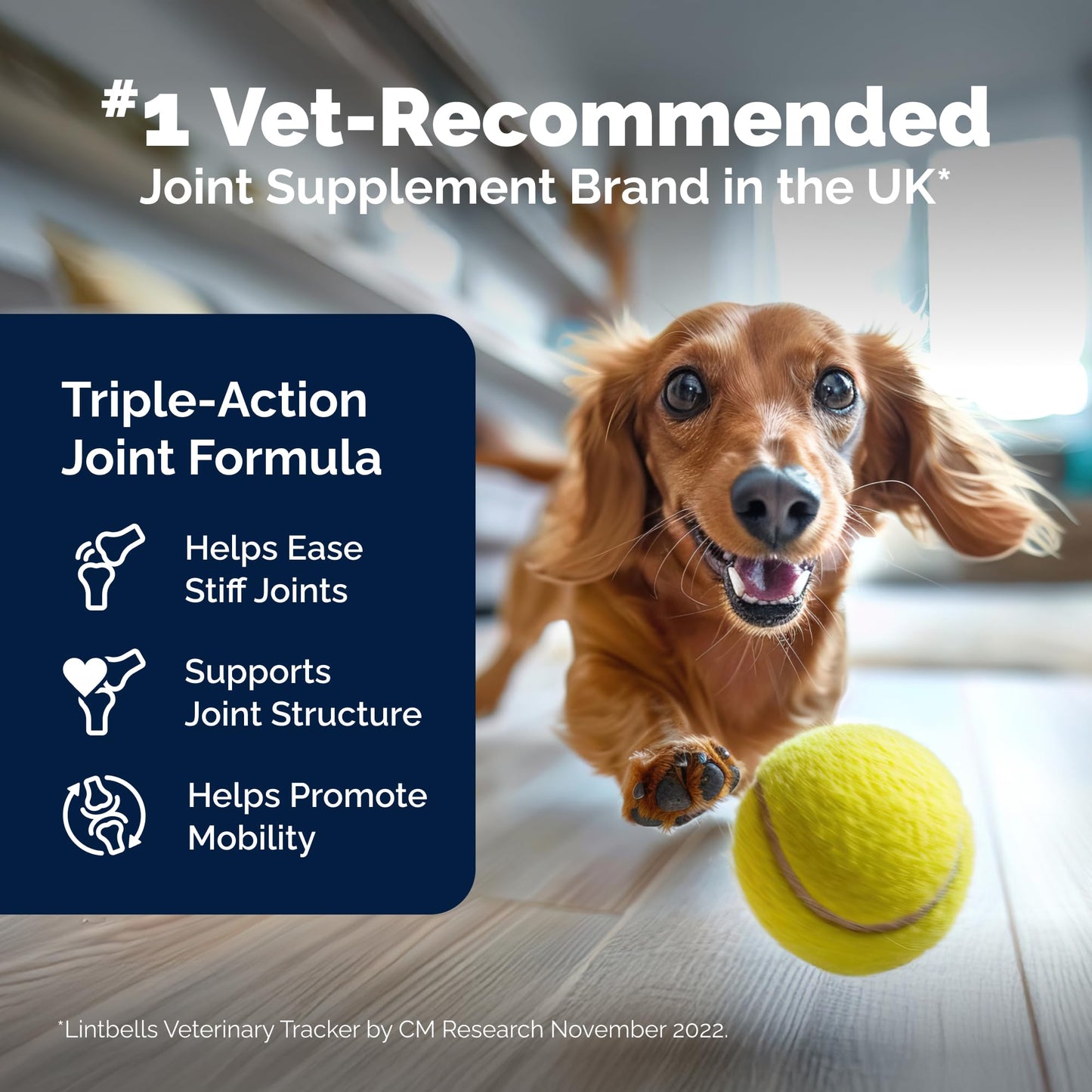 Yumove Hip & Joint Supplement for Dogs with Glucosamine, Hyaluronic Acid, Green Lipped Mussel & Omega 3 Joint Supplement - Regular or Advanced Strength (90 Count, Advanced Vet Strength Soft Chews) - Maple Wellness Supplements
