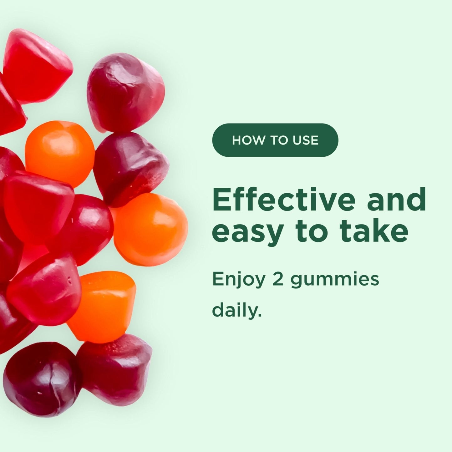 Yuve Natural Sugar Free Probiotic Gummies 5 Billion CFU, Helps with Constipation, Bloating & Leaky Gut - Vegan, Gluten-Free & Non-GMO - 60ct - Maple Wellness Supplements