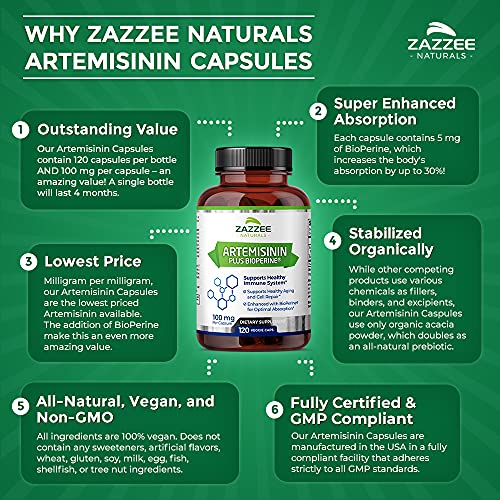 Zazzee High Absorption Artemisinin, 100 mg per Capsule, 120 Vegan Capsules, with 5 mg - Maple Wellness Supplements