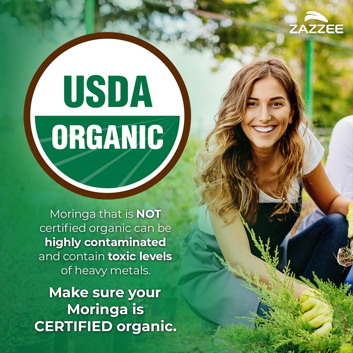 Zazzee USDA Organic Moringa Leaf 20:1 Extract, 180 Vegan Capsules, 3 Month Supply, Certified Kosher, Moringa Oleifera, Antioxidant, Immune & Cellular Support - Maple Wellness Supplements