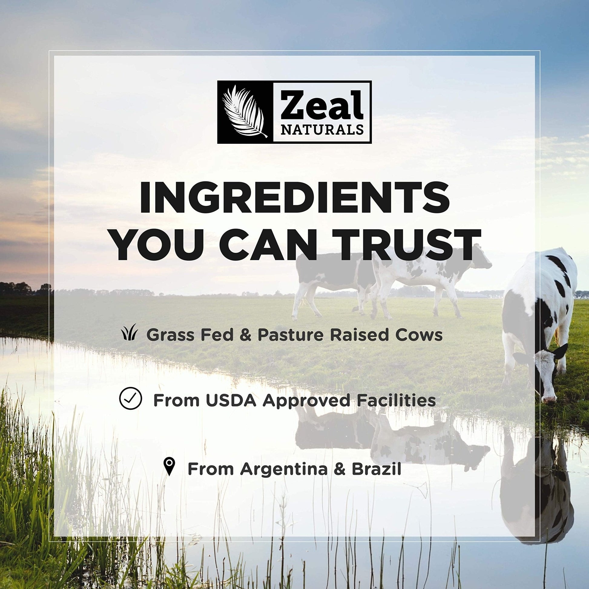 Zeal Naturals Collagen Peptides Collagen Pills (360 Capsules) Grass Fed Collagen Pepetide Powder - Hydrolyzed Collagen Powder for JointTendon SupplementHair Skin and Nails - Maple Wellness Supplements