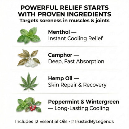 ZEN Hemp Balm 3 Pack – Fast-Acting Pain Relief for Muscles & Joints – Plant-Based Topical – 0.7 oz Each - Maple Wellness Supplements