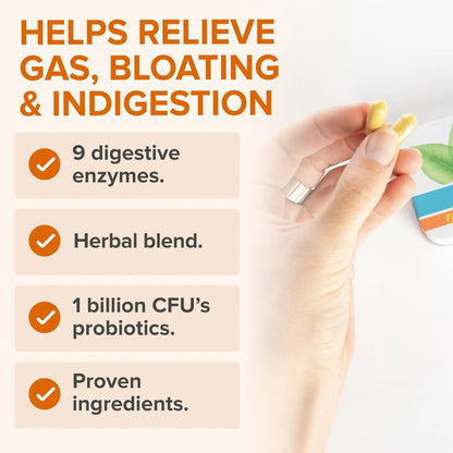 Zenwise Health No Bloat Probiotics for Women and Men Digestive Health with Ginger, Dandelion, and Lactase, Digestive Enzymes for Gas and Bloating Relief - Vegan Water Retention Pills - 14 CT - Maple Wellness Supplements