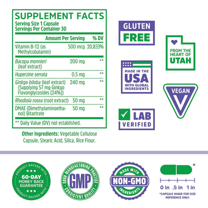 Zhou Neuro Peak Brain Support Supplement | Memory, Focus & Clarity Formula | DMAE - Maple Wellness Supplements
