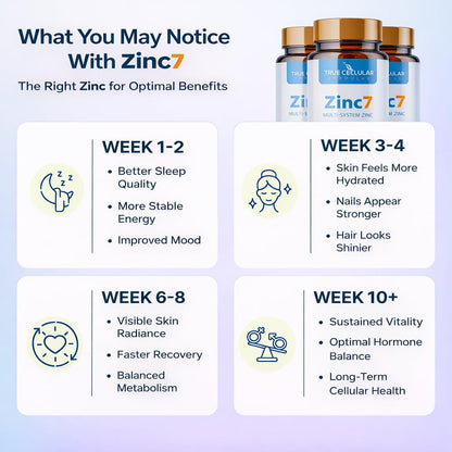 Zinc7: 7-in-1 Zinc Complex 50mg - Maximum Absorption for Immune Defense, Deep Sleep & All-Day Energy | Hormone Balance, Mental Focus - Maple Wellness Supplements
