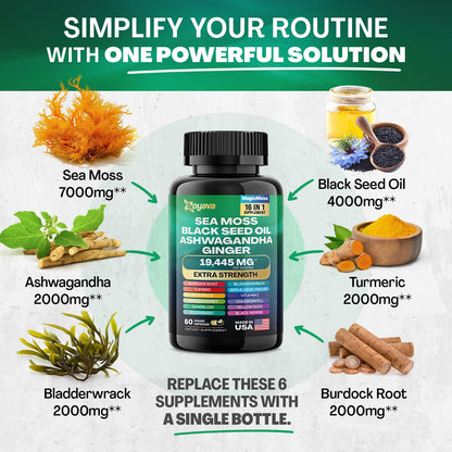 Zoyava Sea Moss 16-in-1 and Collagen 14-in-1 Bundle - Maple Wellness Supplements